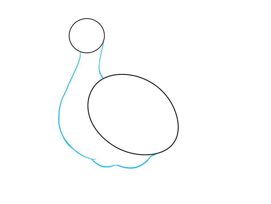 步骤2：使用一条长的曲线和一条短的曲线连接头部和机翼。封闭的形状形成了火鸡的脖子和身体。