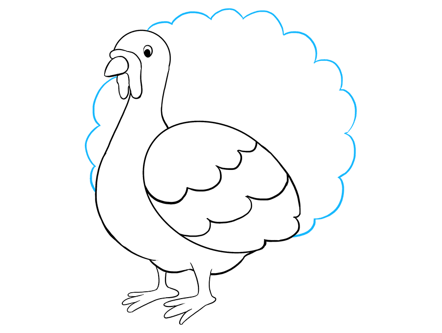 步骤8：画出火鸡的扇状尾巴。绘制一条长的扇形线-由相互连接的短弯曲线组成的线。