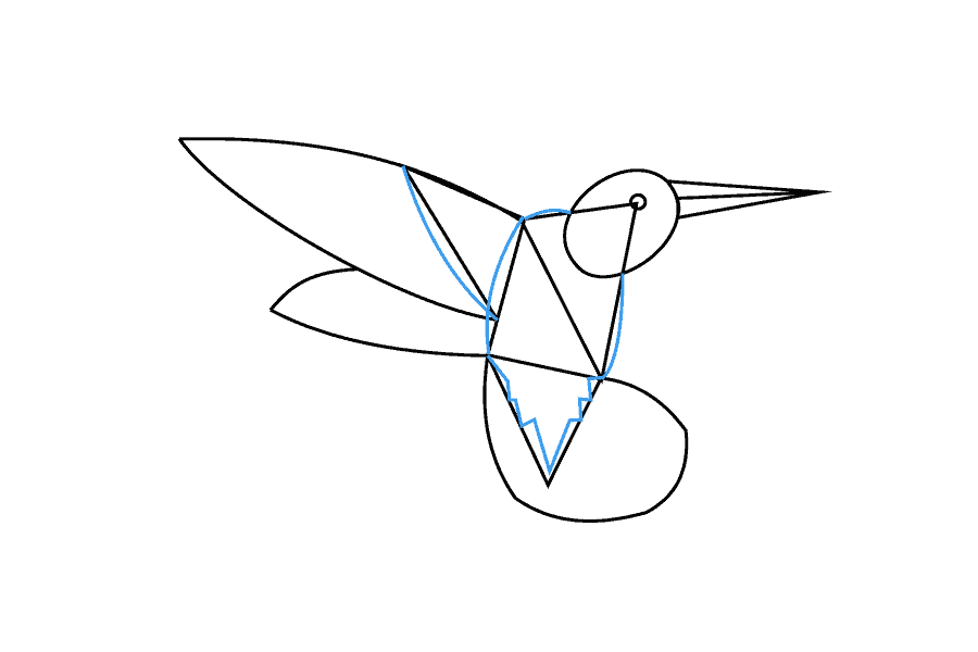 步骤9：在中体周围画一条弯曲线，在尾部画一条锯齿线。