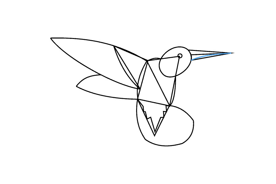 步骤10：用弧线勾勒出喙的底面。