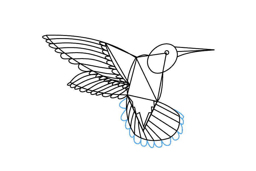 步骤15：通过在尾巴周围再画一组狭窄的弧线来完成羽毛。