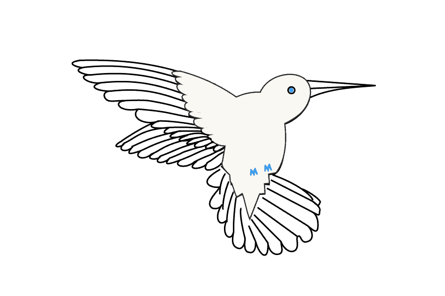 步骤16：清除身体中部多余的线条。在眼内画一个圆圈，画一个活泼的瞳孔，在蜂鸟的脚上画两个M形。
