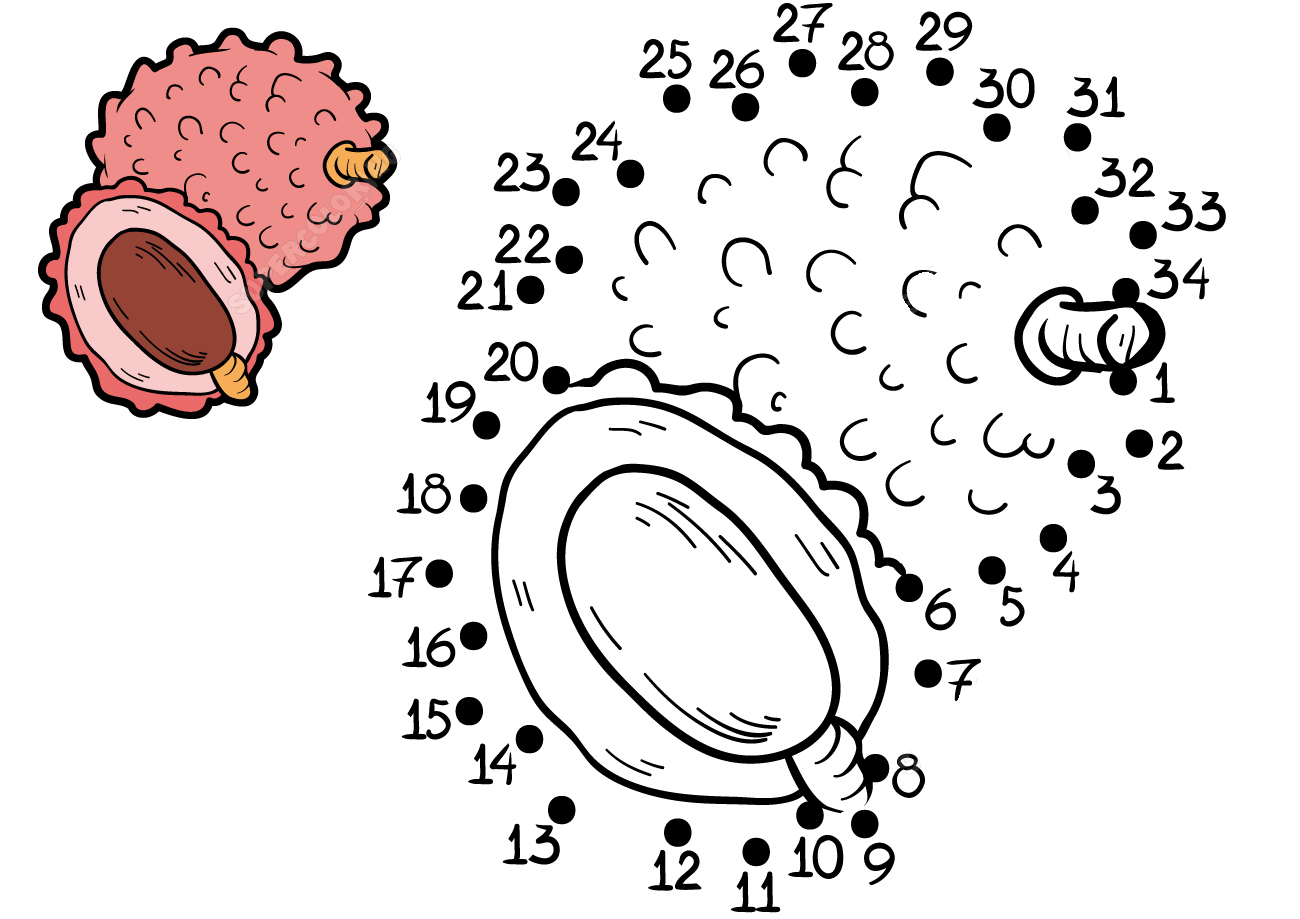 荔枝连线画图片素材
