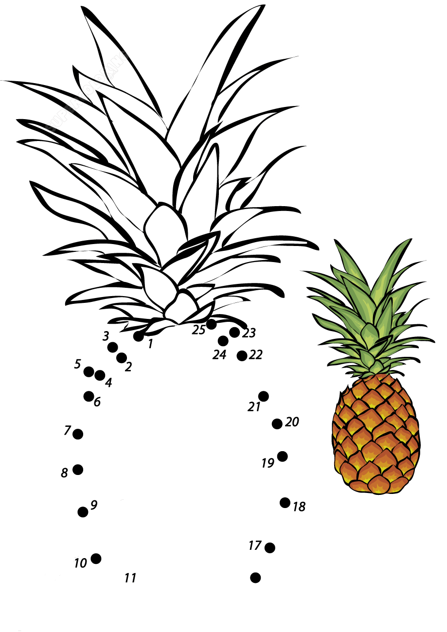 凤梨连线画图片素材