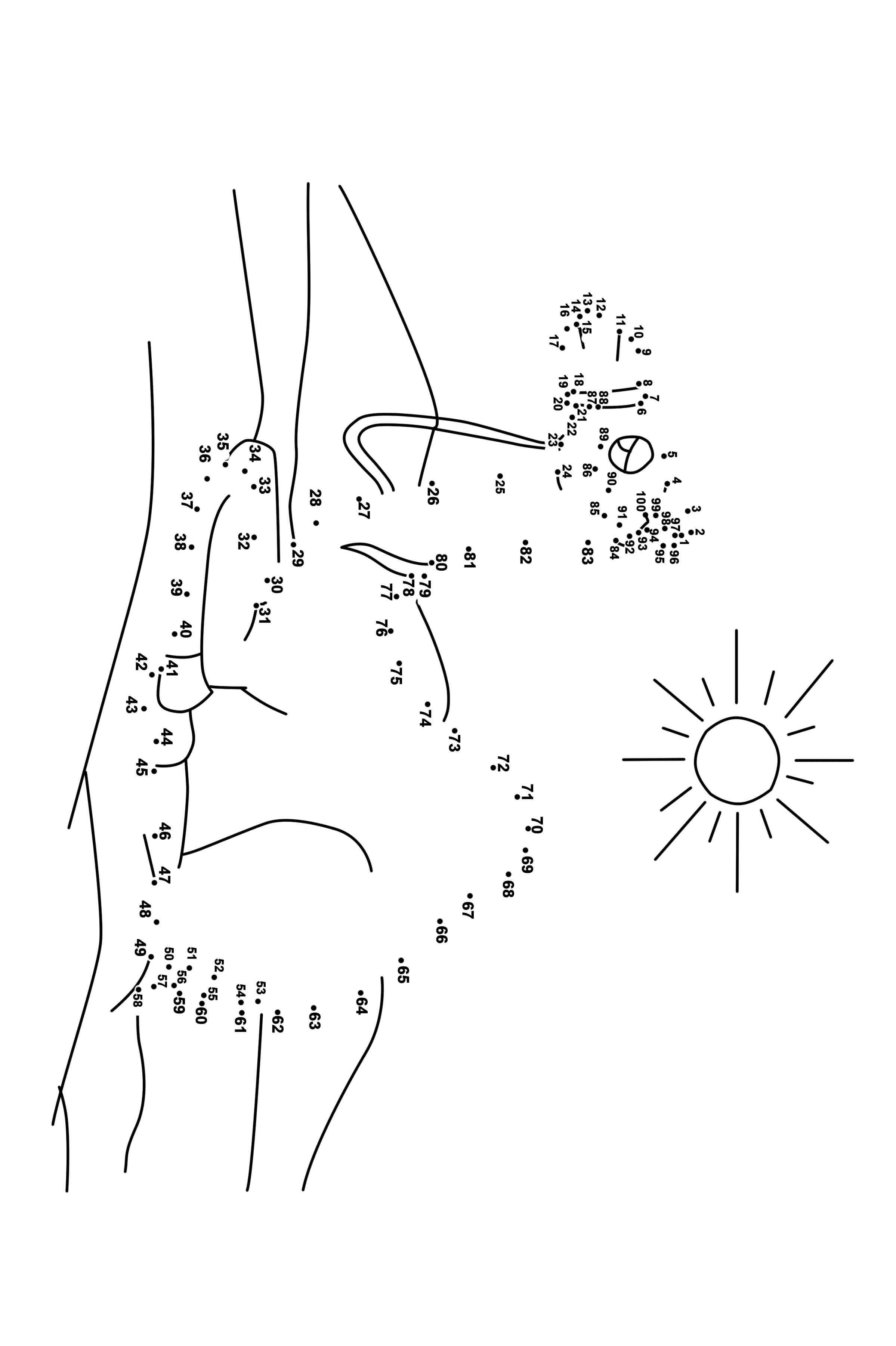 骆驼连线画图片素材