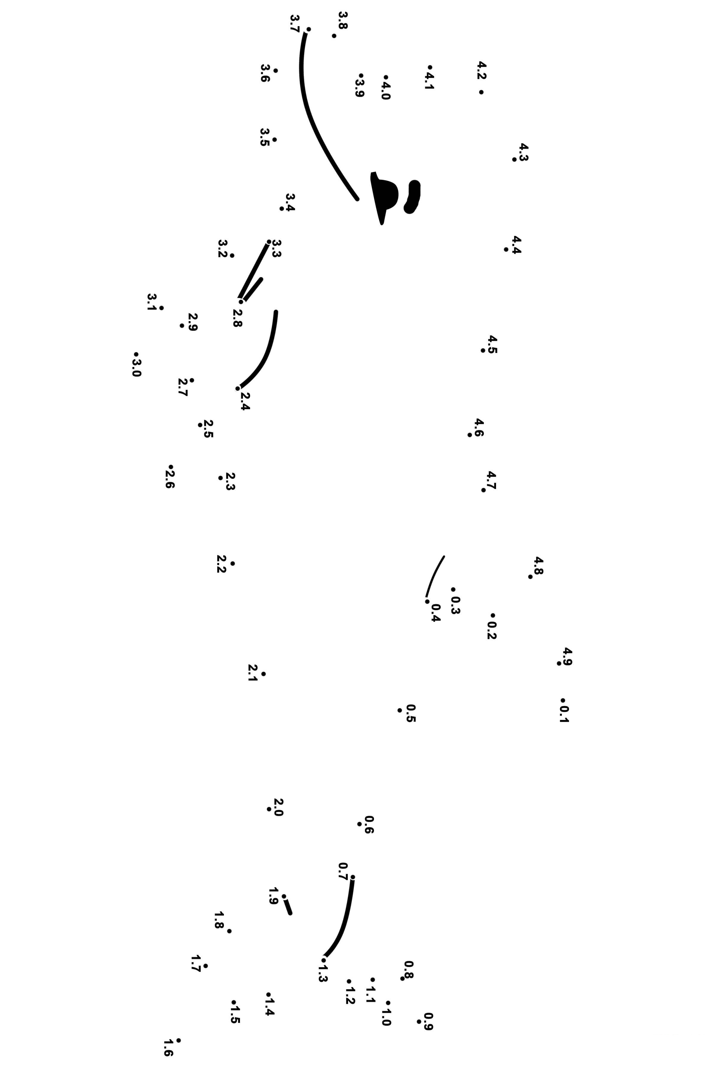 海豚连线画图片素材