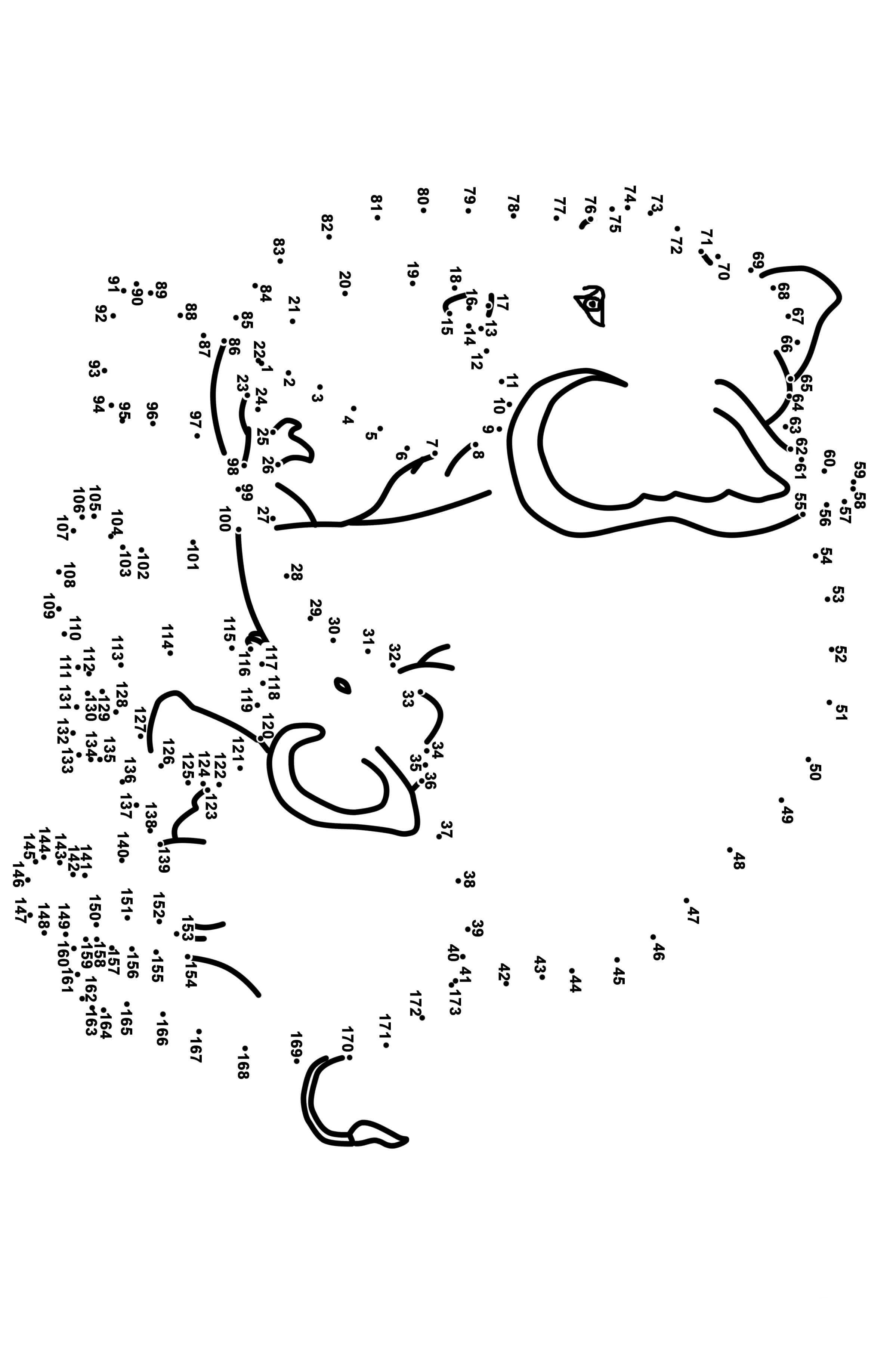 大象连线画图片素材