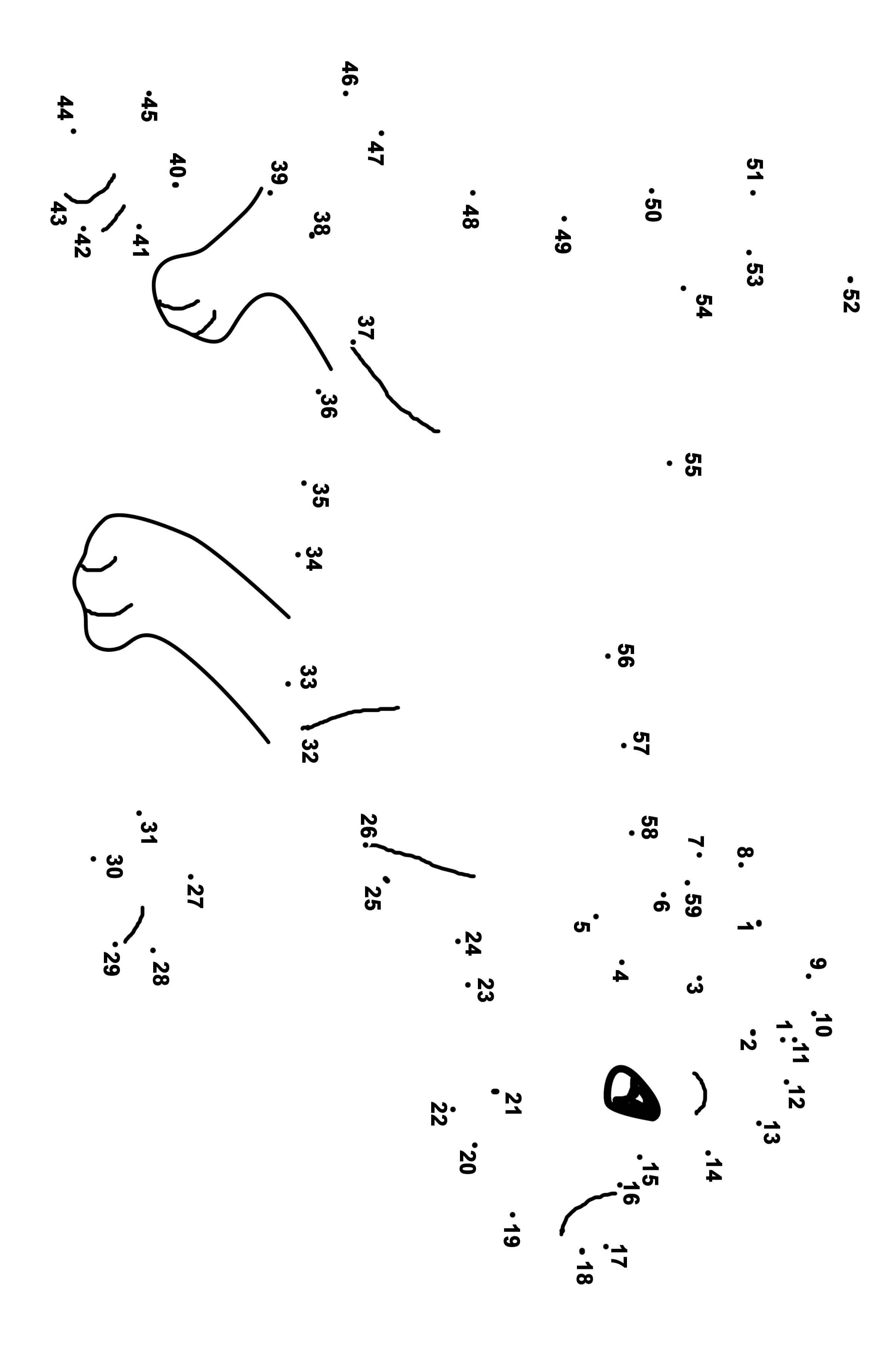 象连线画图片素材