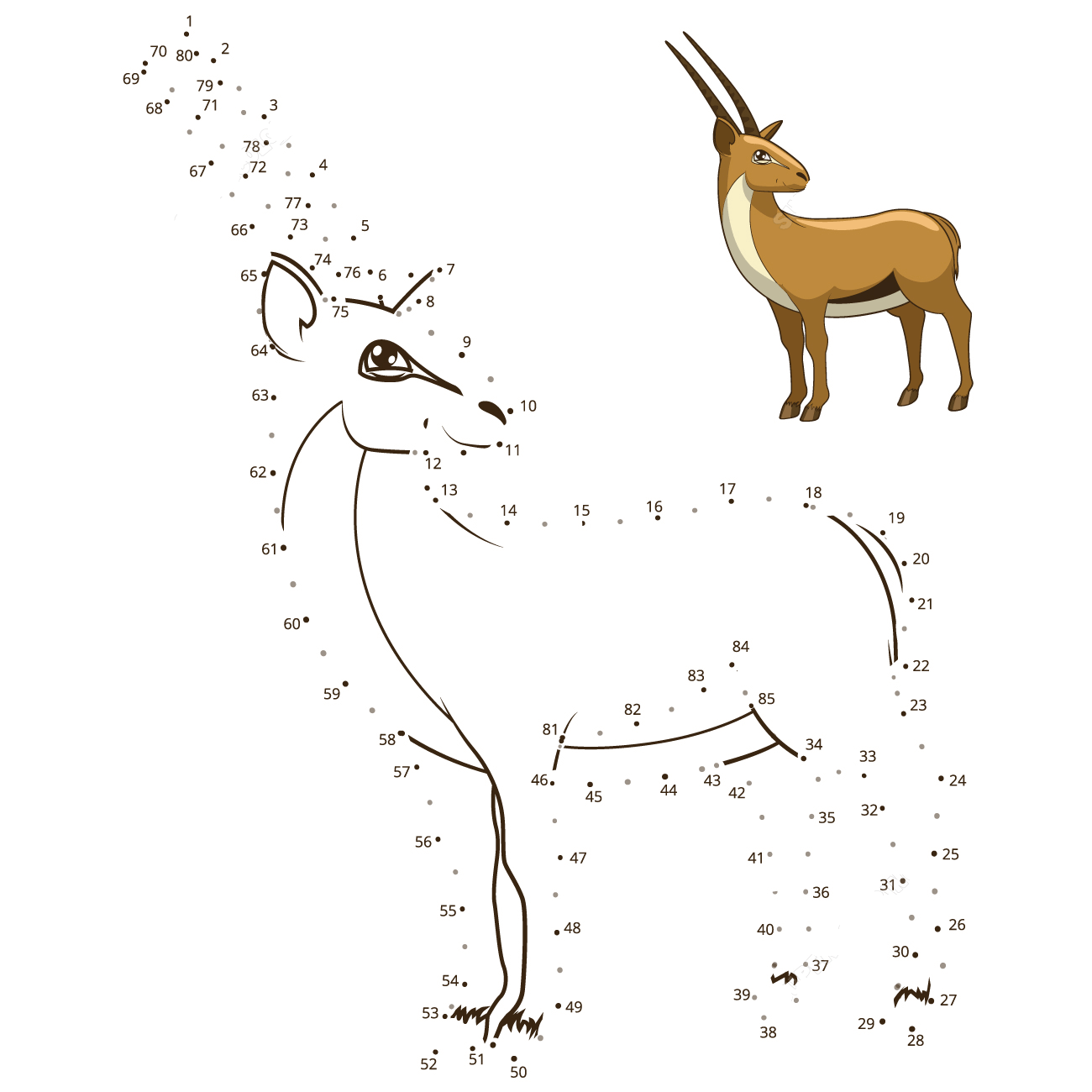 羚羊连线画图片素材