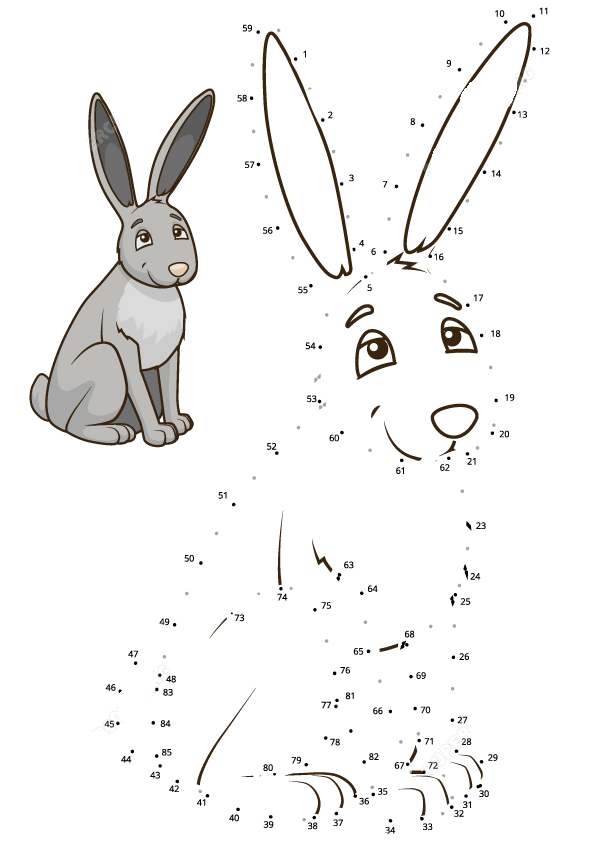 野兔连线画图片素材
