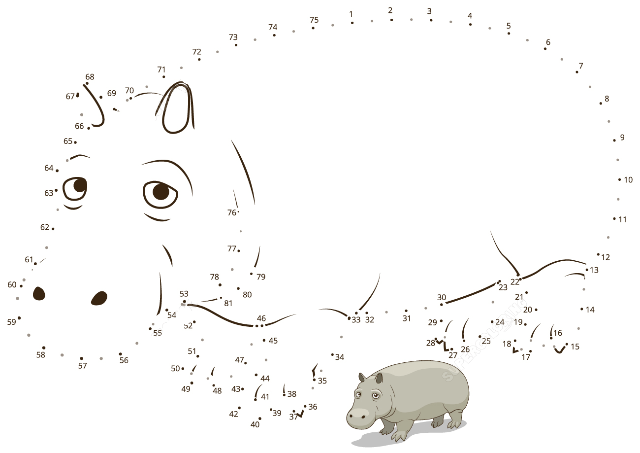 河马连线画图片素材