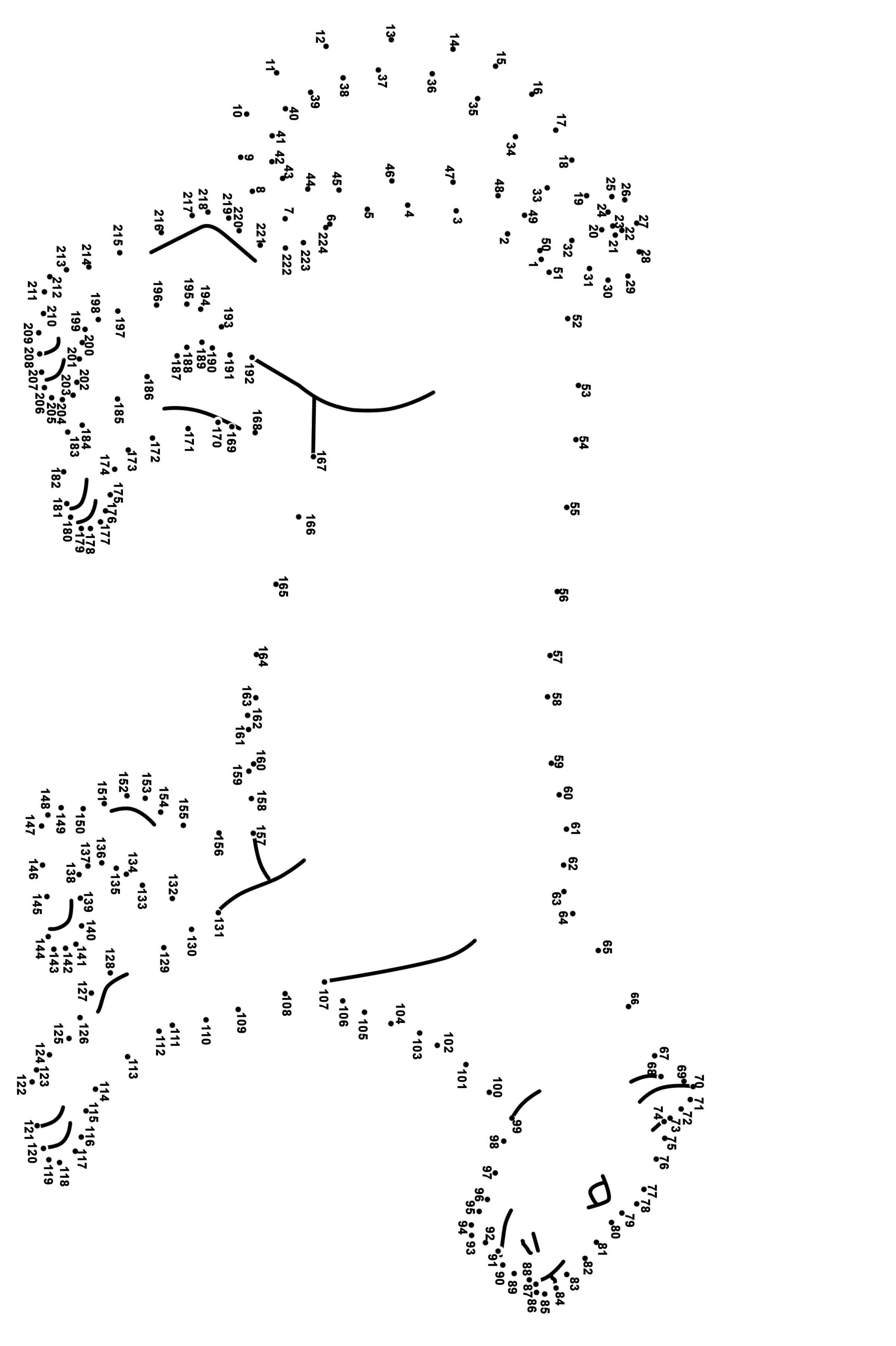 黑豹连线画图片素材