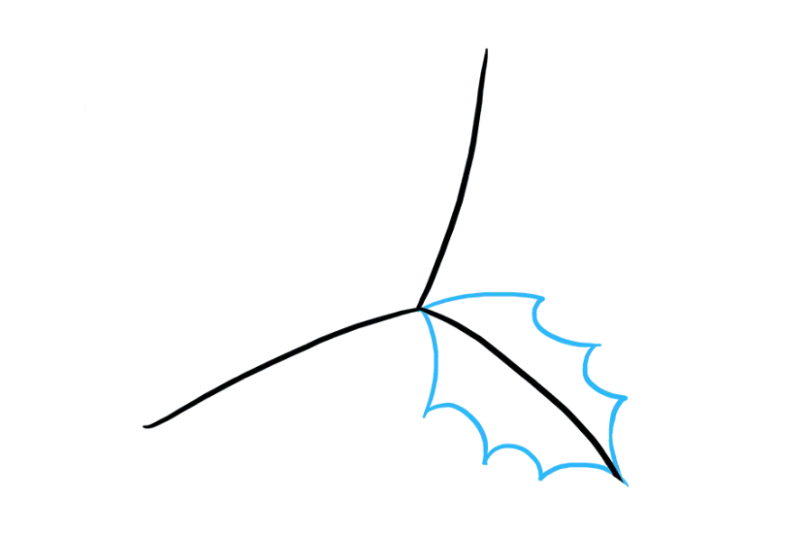 步骤2：画其中一根静脉周围的一片叶子。冬青树叶参差不齐，多刺。您可以通过使用短的弧形线(在点处汇合以形成叶子的每一侧)来实现此效果。