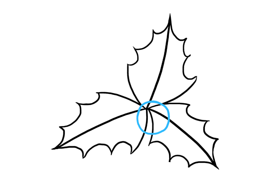 步骤5：冬青树和灌木丛产生鲜红色的浆果。通过在叶子的中央放置一个圆圈画一个浆果。