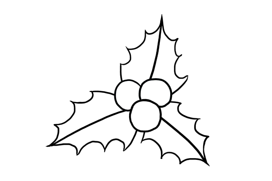 步骤7：从冬青浆果内部清除指南。