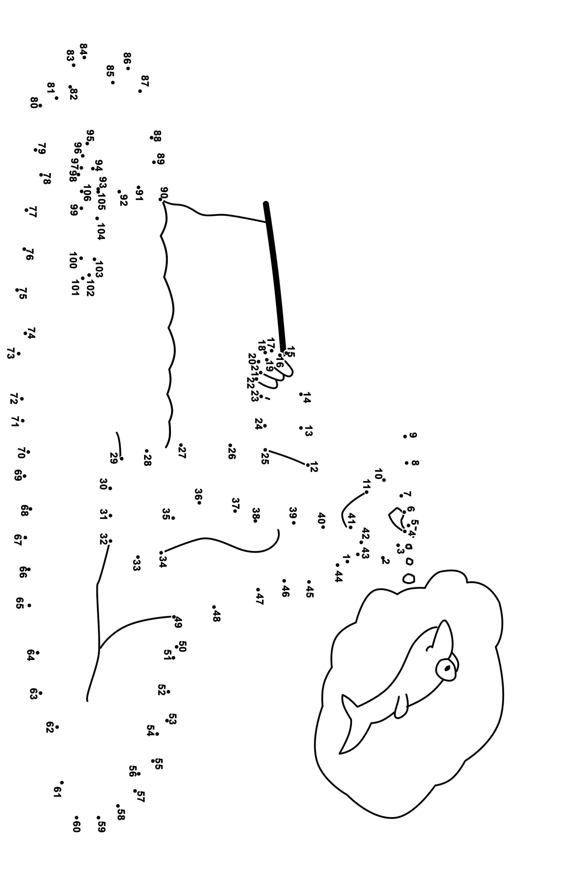 企鹅连线画图片素材