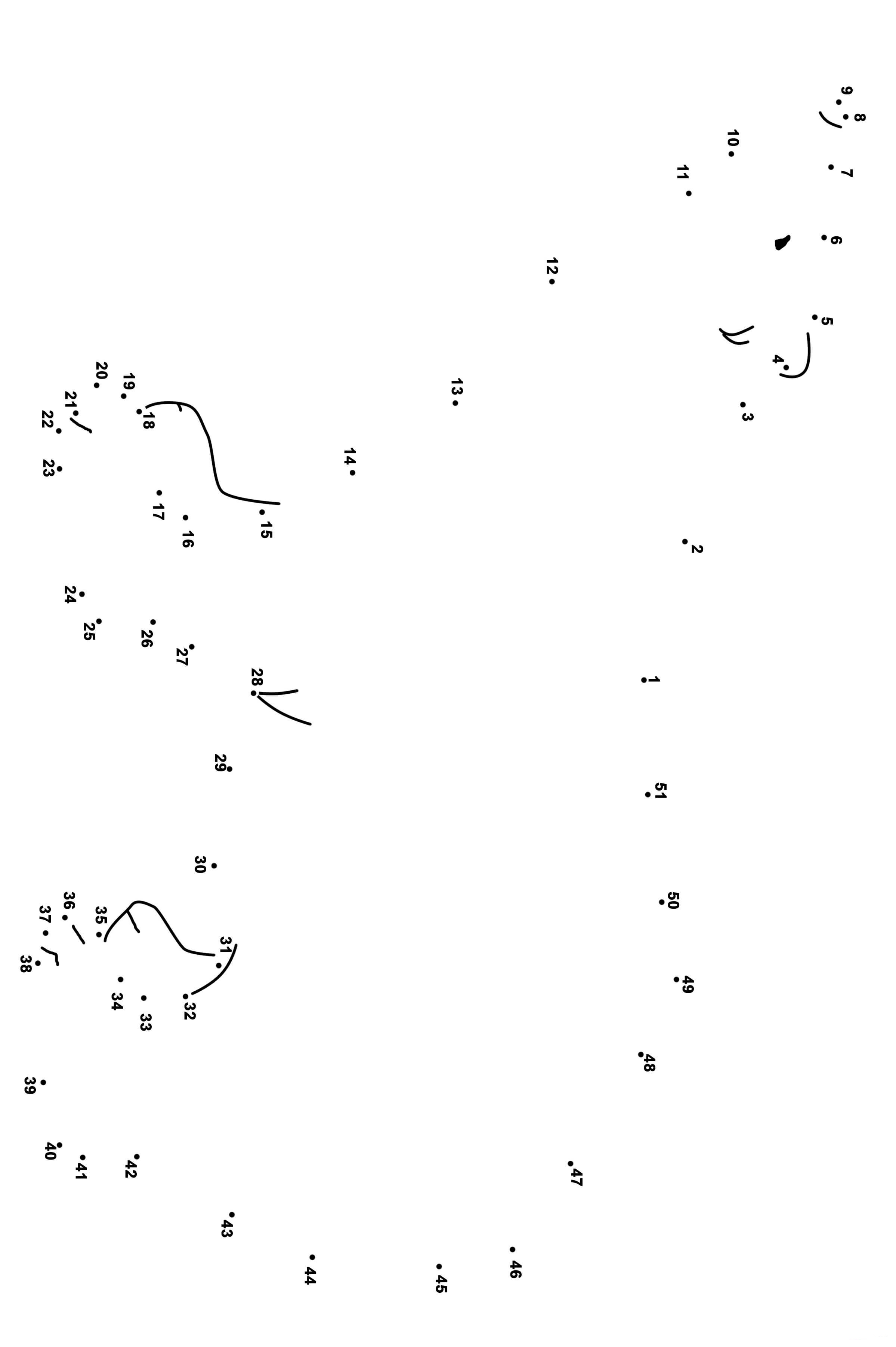 北极熊连线画图片素材