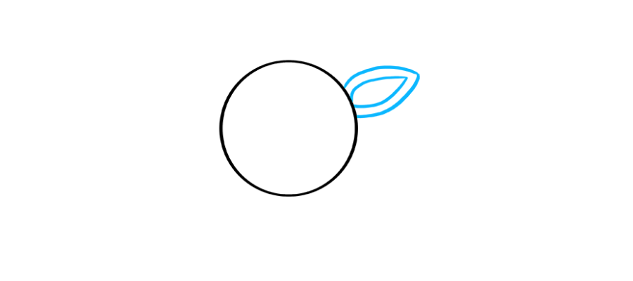 步骤2：将两个泪珠形状围在头的一侧，一种形状围在另一侧。这形成了鲁道夫的耳朵。