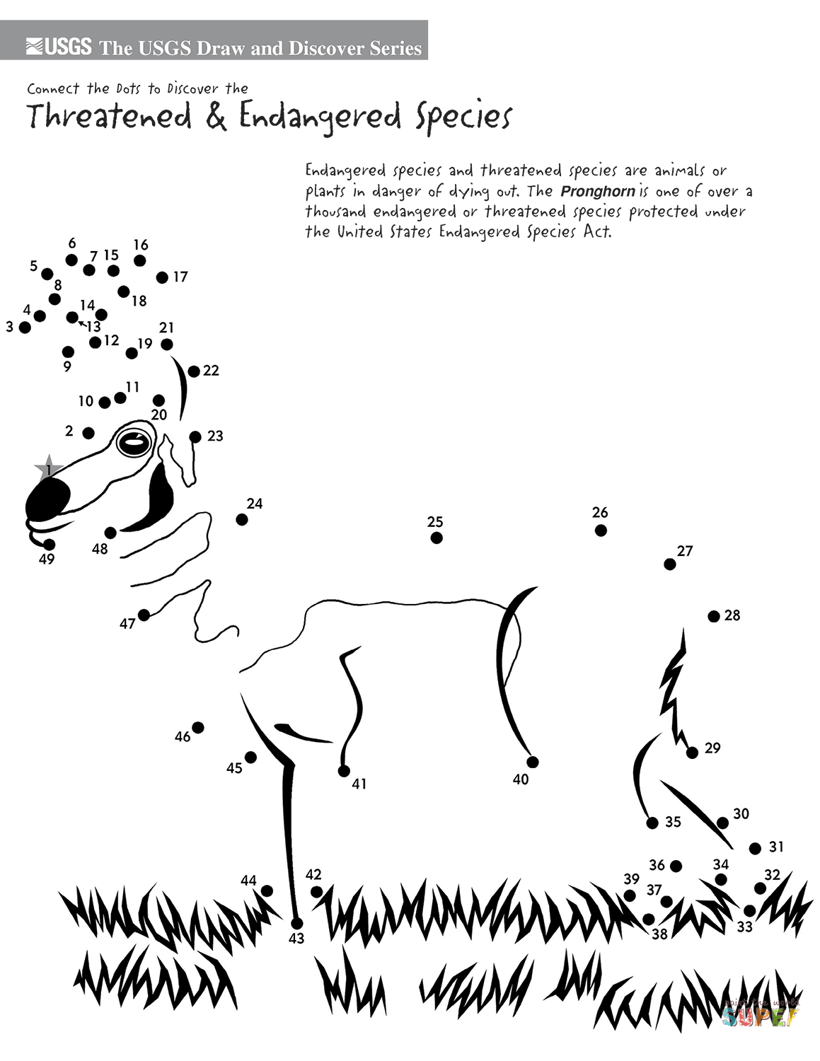 羚羊连线画图片素材