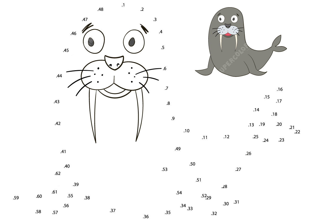 海豹连线画图片素材