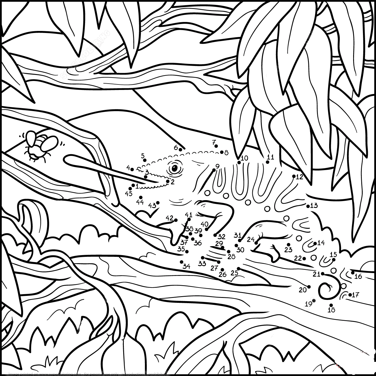 变色龙连线画图片素材