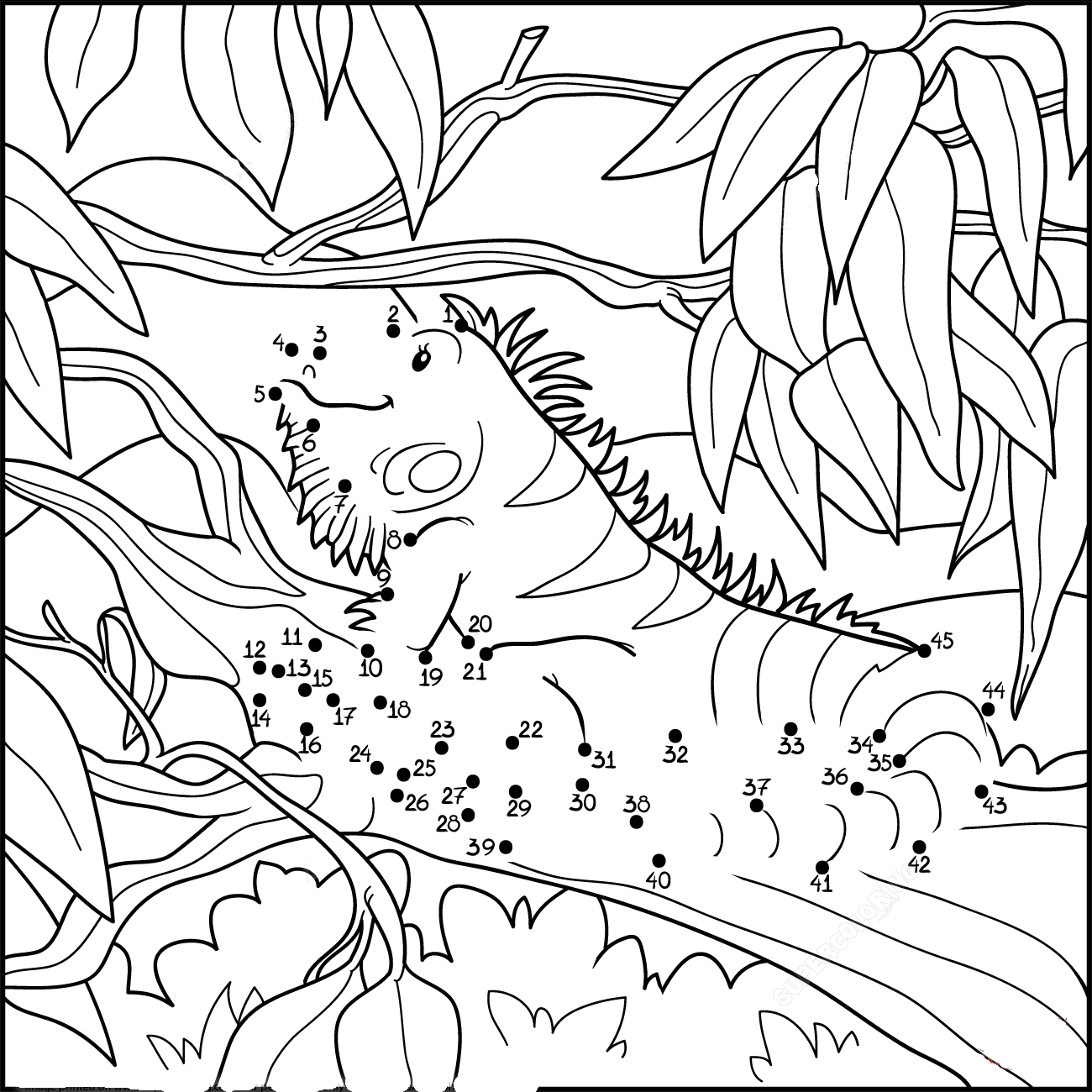 蜥蜴连线画图片素材