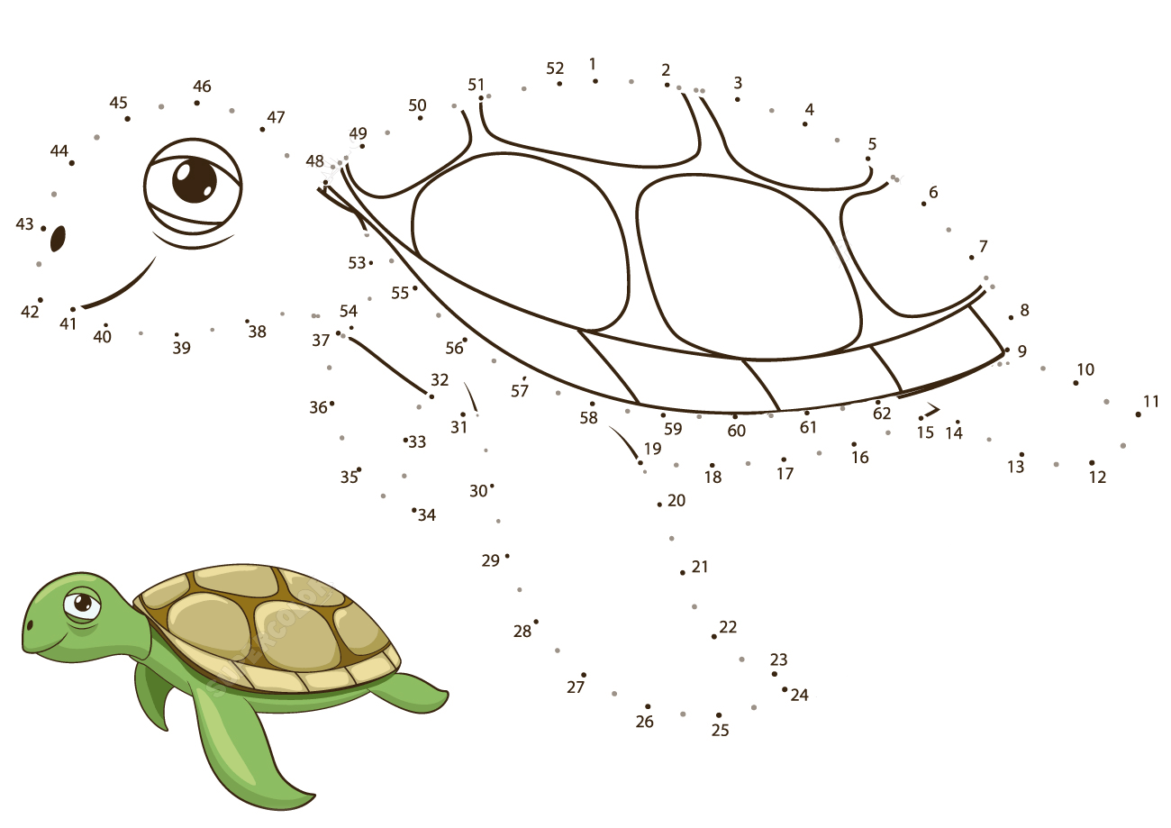 海龟连线画图片素材