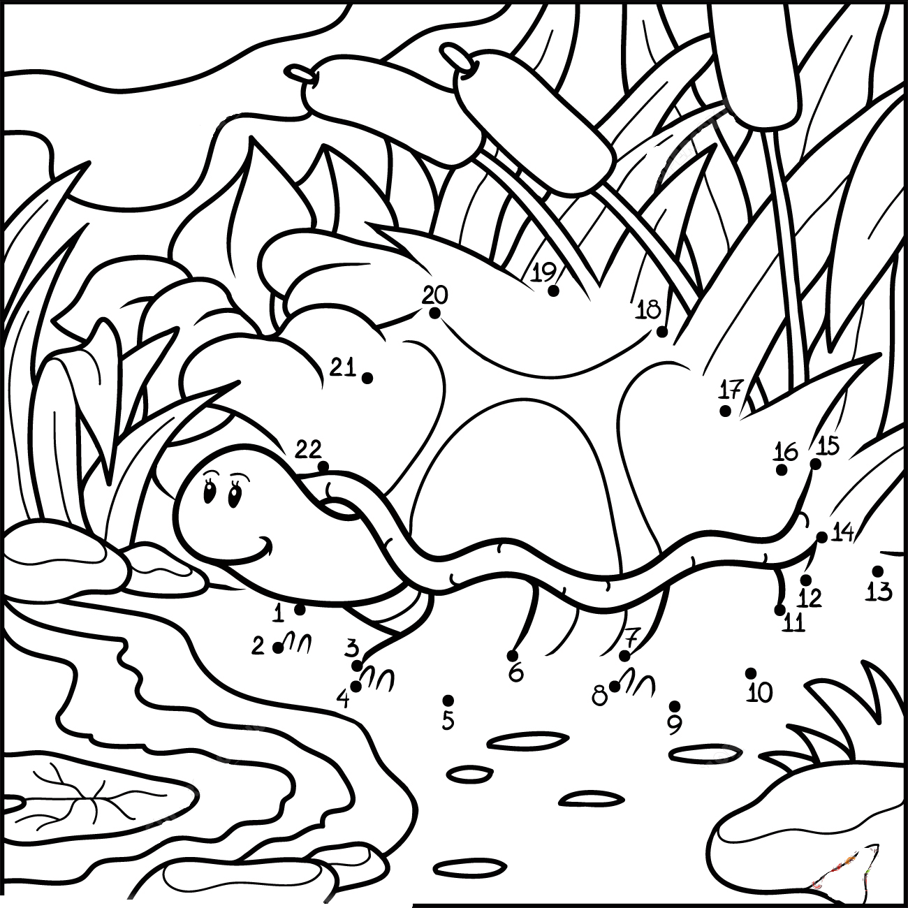 陆龟连线画图片素材