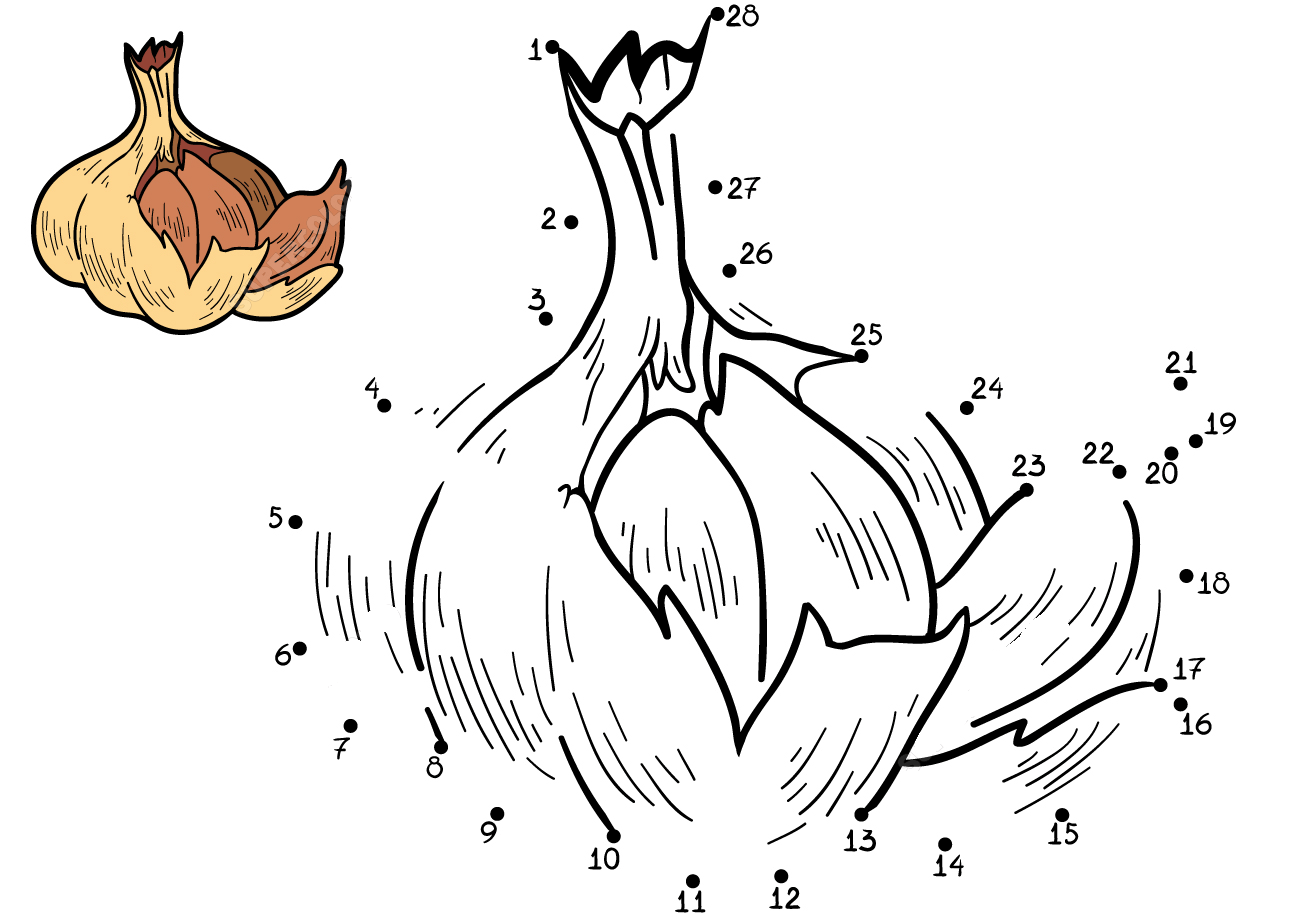 大蒜连线画图片素材