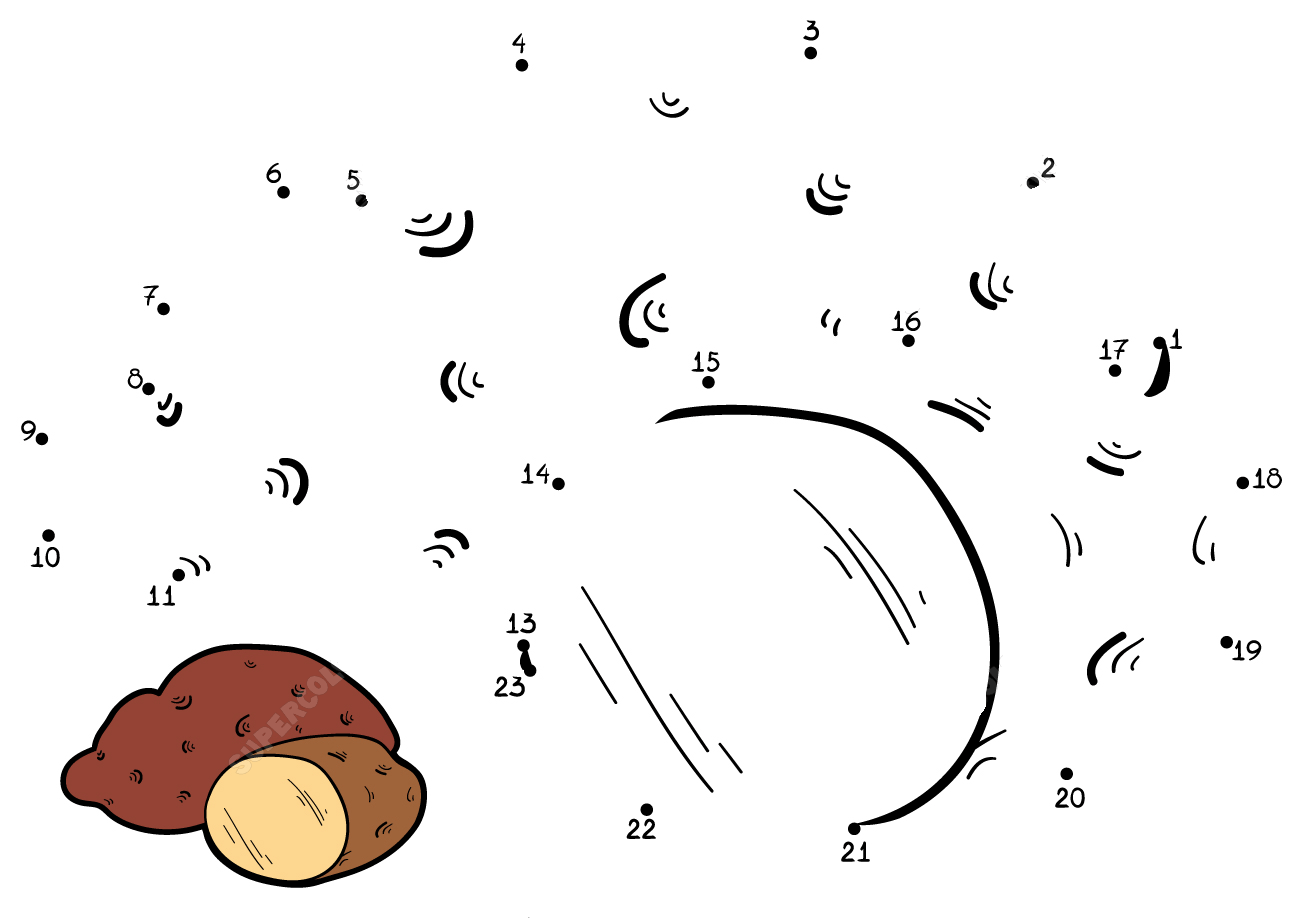 土豆连线画图片素材