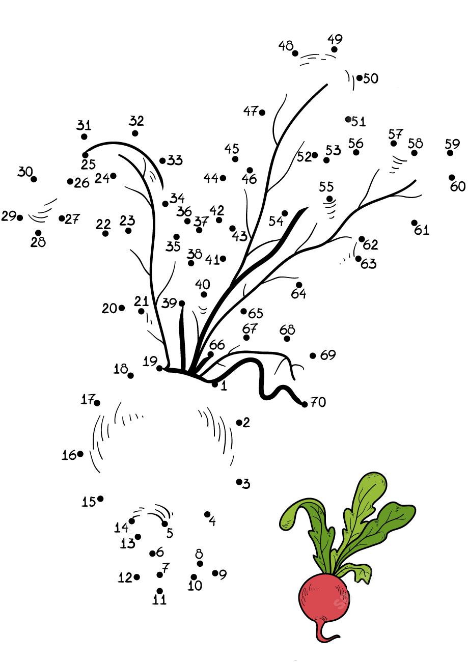 萝卜连线画图片素材