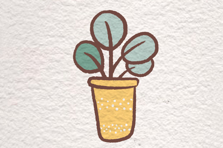 一组漂亮的小盆栽简笔画-图4