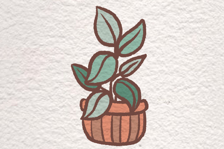 一组漂亮的小盆栽简笔画-图5