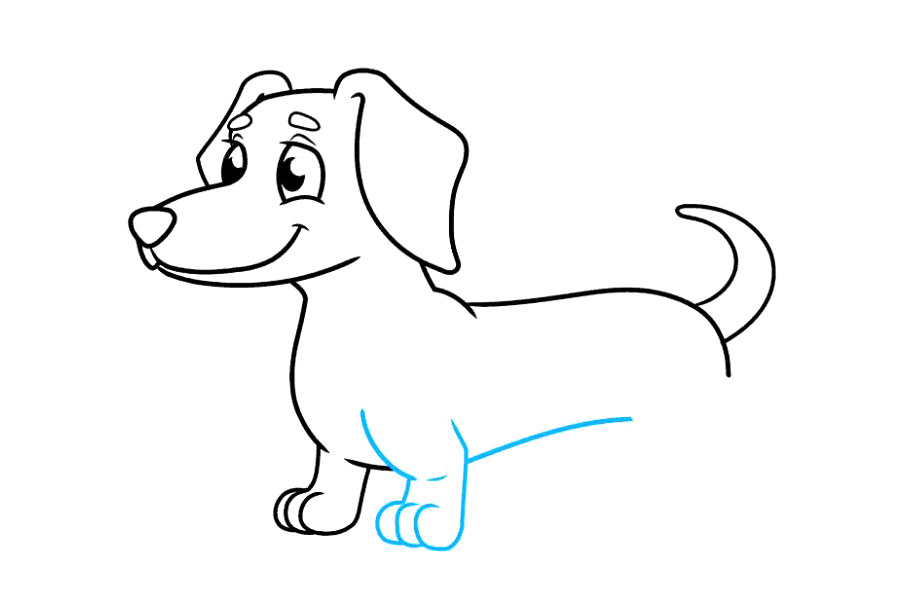 步骤7：使用重叠的曲线绘制剩余前腿的大腿，脚掌和脚趾。请注意与踝关节弯曲相吻合的短曲线。然后，延长一条长长的曲线以延续狗的腹部。