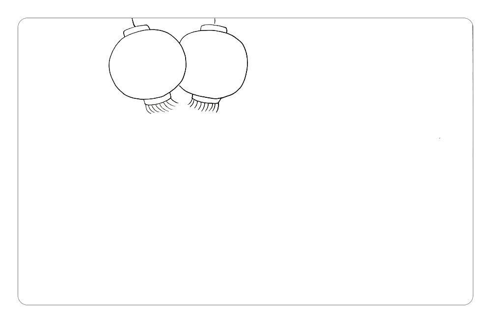 步骤1：首先，在画面的上方画出四个灯笼。