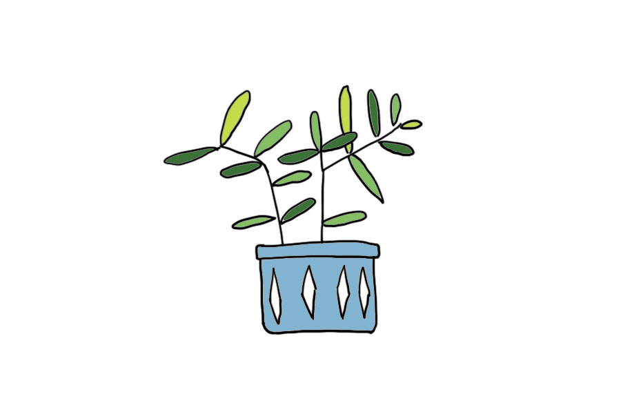 一组可爱盆栽简笔画图片-图4