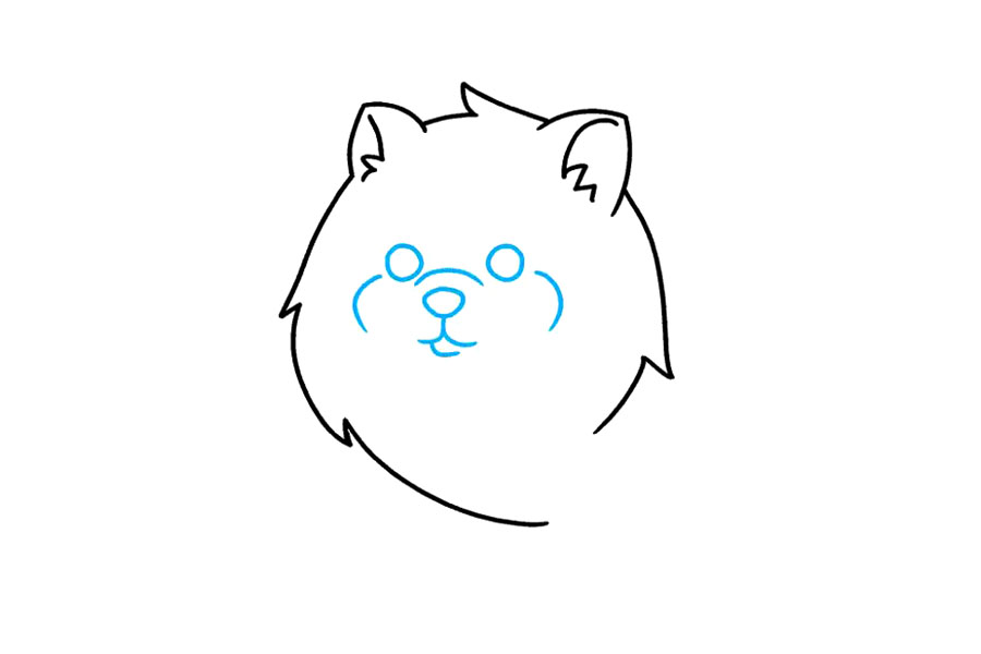 步骤3：画小狗的脸。用圆圈勾勒出眼睛轮廓。将鼻子围成不规则的圆形。使用曲线勾勒出鼻子，嘴巴，下巴和脸颊的轮廓。