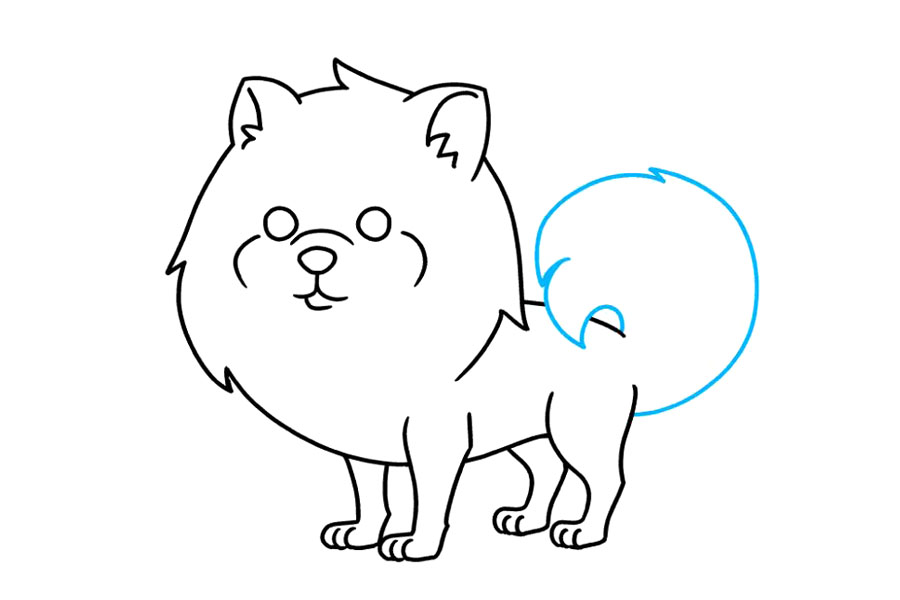 步骤9：画出蓬松的尾巴，并根据需要擦除。使用在锯齿点相交的长和短曲线。注意尾巴如何在狗的背部上方以螺旋形卷曲。