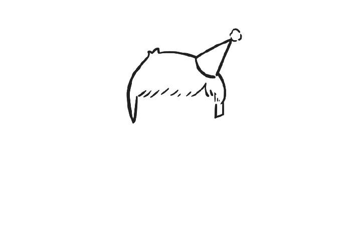 戴圣诞帽的小男孩简笔画-图1