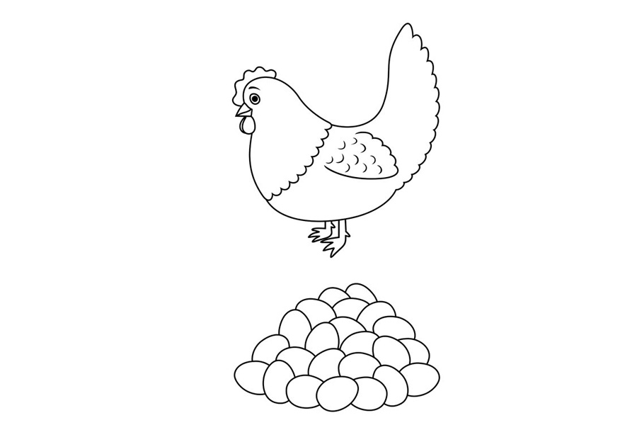几张母鸡下蛋的简笔画图片-图2