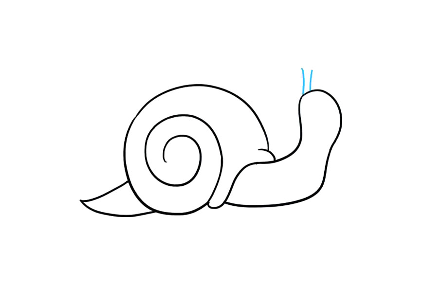 如何画蜗牛简笔画-图5