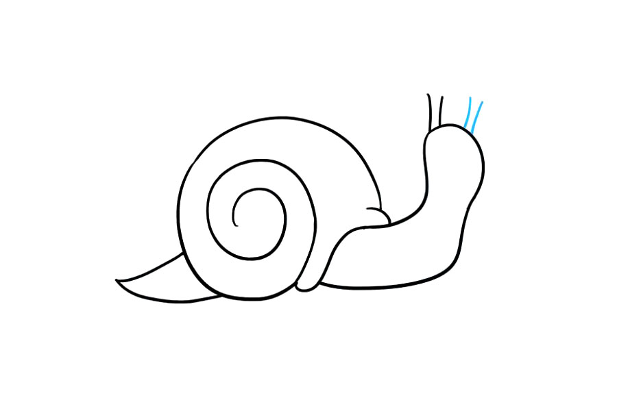 如何画蜗牛简笔画-图6