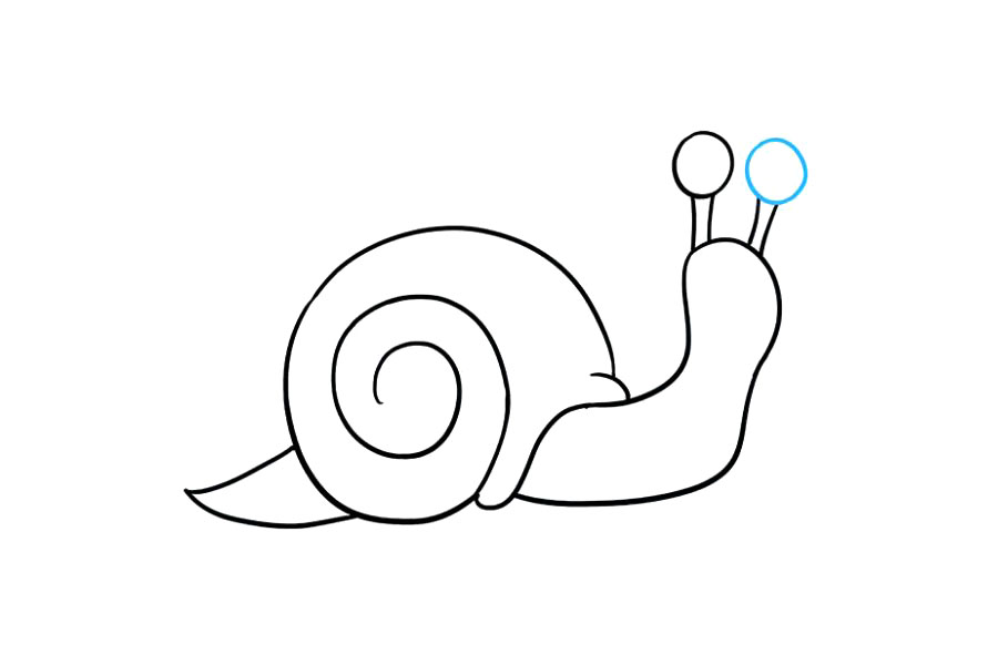 如何画蜗牛简笔画-图8
