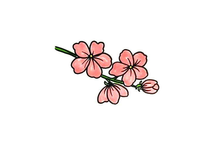 桃花简笔画怎么画