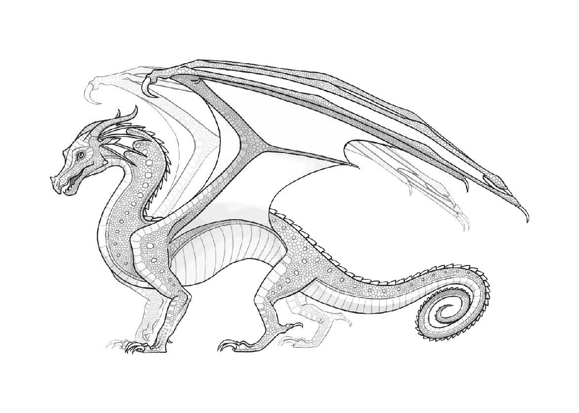 火翼飞龙中的雨翼龙简笔画图片