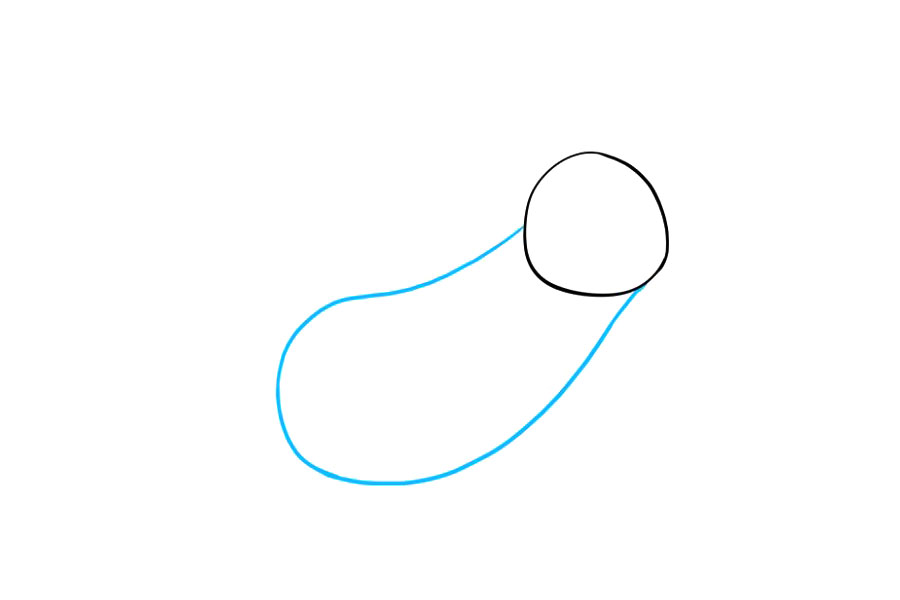 步骤2：用一条长的曲线围成不规则的圆形。从头部伸出线，然后将线重新加倍。这将形成树懒的身体。