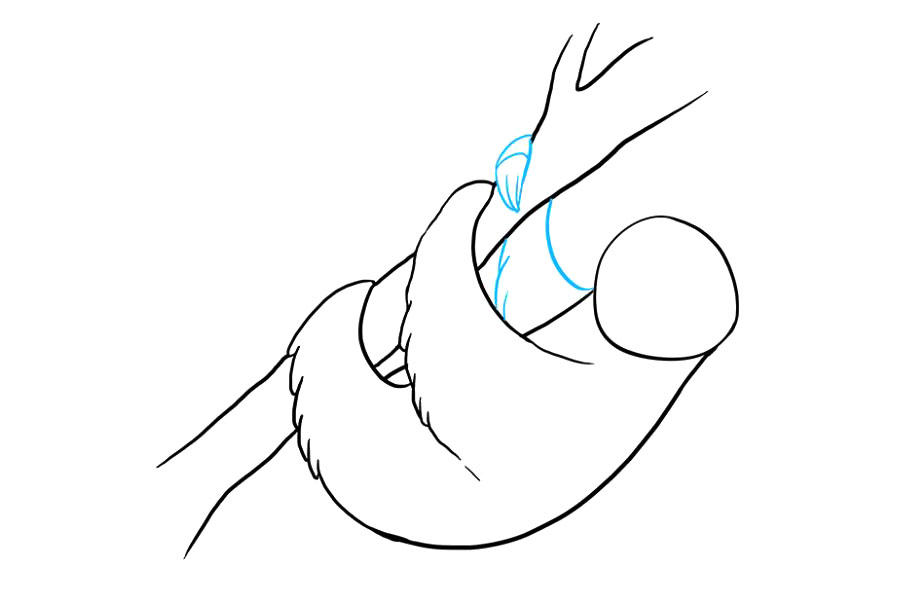 步骤7：画出树懒的远臂。在身体和树之间，像以前一样，我们有一条曲线和一系列重叠的曲线。然后，使用在一点相交的两条曲线形成抓握树枝的手。必要时删除指导线。在手的顶部绘制一条曲线，并使用其他曲线来区分手指。