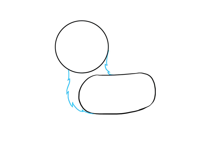 步骤3：用一系列短而弯曲的连接线连接头部和身体。线条应该在相交的点相遇，类似于毛茸茸的皮毛。