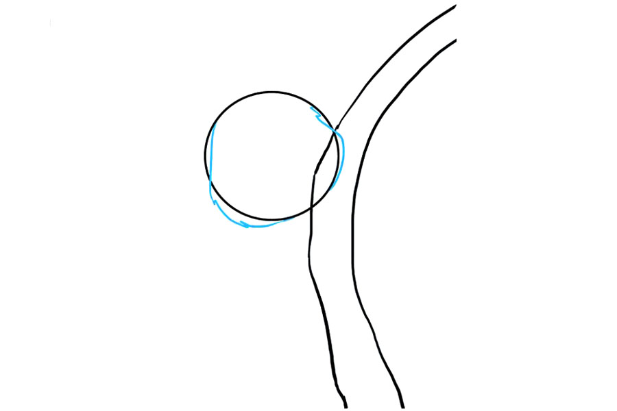 步骤3：详细画头部轮廓。素描毛茸茸的，锯齿状的线条。在头顶附近，线条应在圆内通过。在底部附近，它们应该位于圆的外面，表示胖胖的脸颊。