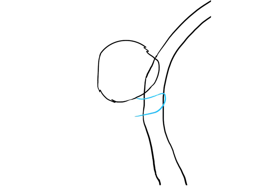 步骤5：使用曲线画出考拉的手臂。从头的底部延伸线，越过树，再将其自身对折。